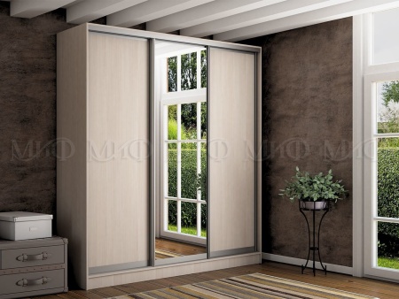 Шкаф-Купе Тринити-6 (Ш-2000 мм x В-2244 мм x Г-600 мм)/Разные Цвета