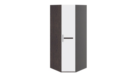 Шкаф угловой с 1-ой глухой дверью «Фьюжн» Белый Глянец/Венге Линум