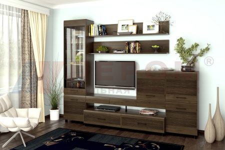 Гостиная-Стенка Камелия №5 (В-2172 х Ш-2700 х Г-452 мм)